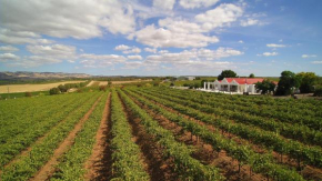 1837 Barossa Luxury Vineyard Cottages